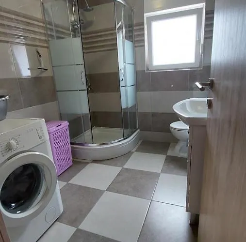 Andric Dugi Rat